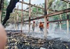 Diduga Akibat Korsleting Listrik, Kandang Ayam di Susukan Ludes Terbakar: Ribuan Ekor Ayam Tak Terselamatkan